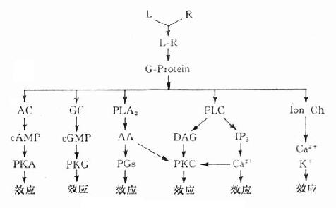 �ڶ���ʹϵͳʾ��ͼ